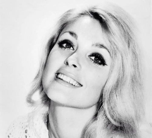 foreversharontate:  Sharon Tate photographed porn pictures