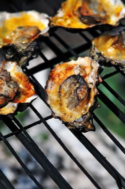  Grilled Oysters 