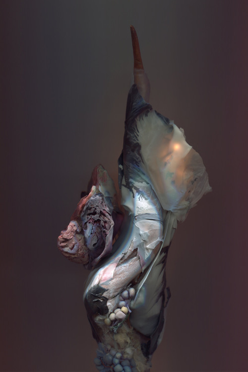 nevver:  Dark strange fruit, Kim Kei
