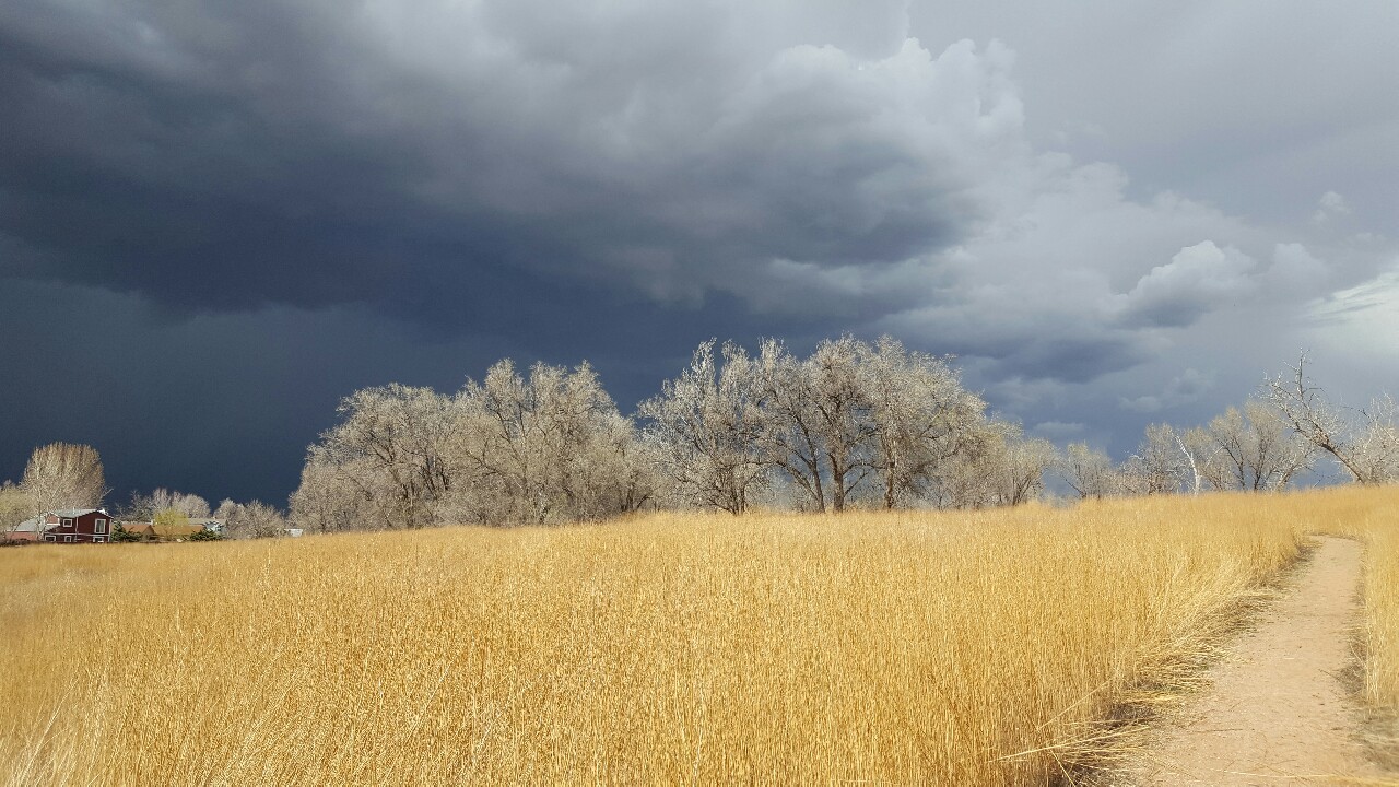 dolefuldream: Ominous clouds in the distance on a sunny day. April 12th, 2016. 