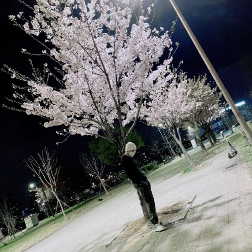 xiaojun-net:Instagram UpdatePhoto by @yangyang_x2Weibo UpdateCherry blossoms in April .(210402)