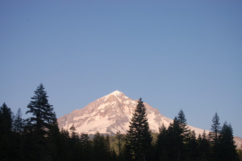 indie-moonlight:mooney-princess:sunset colors on mt. hoodjuly 6th, 2013what wonderful photography!