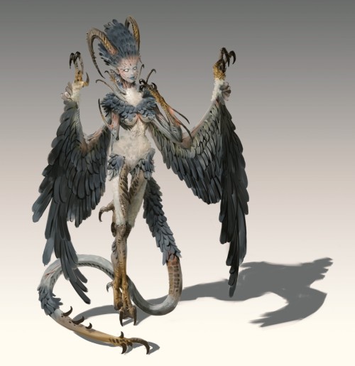 harpy concept art Jay Choihttps://www.artstation.com/artwork/ELrBb2 