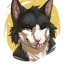 calicofox13