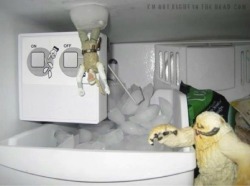 star-wars-daily:  Every Star Wars Fan Simply must do this with their freezer!