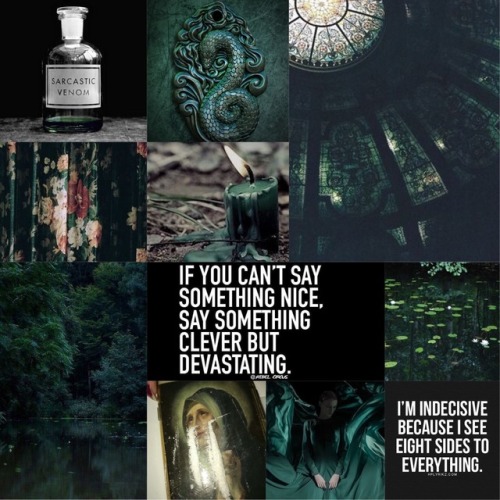 •INTP/ 5w6/ Slytherin/ Chaotic Neutral/ Green and Black/ Aesthetic•