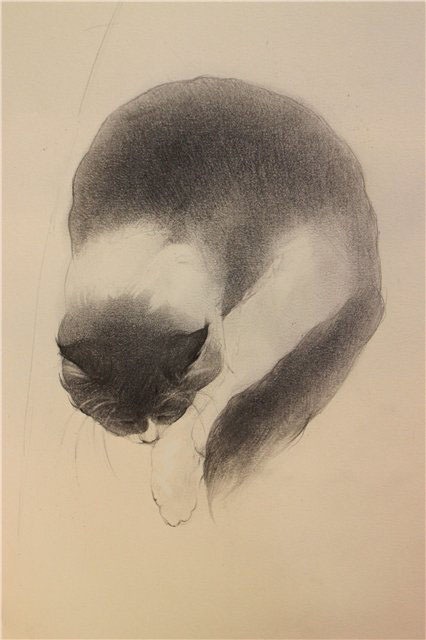 lohrien: Illustrations by Anna Egorova 