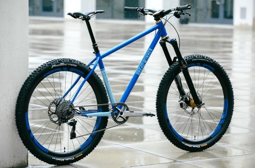 whatweride: Bread Winner Bad Otis - super slack 650b long travel hardtail lushness