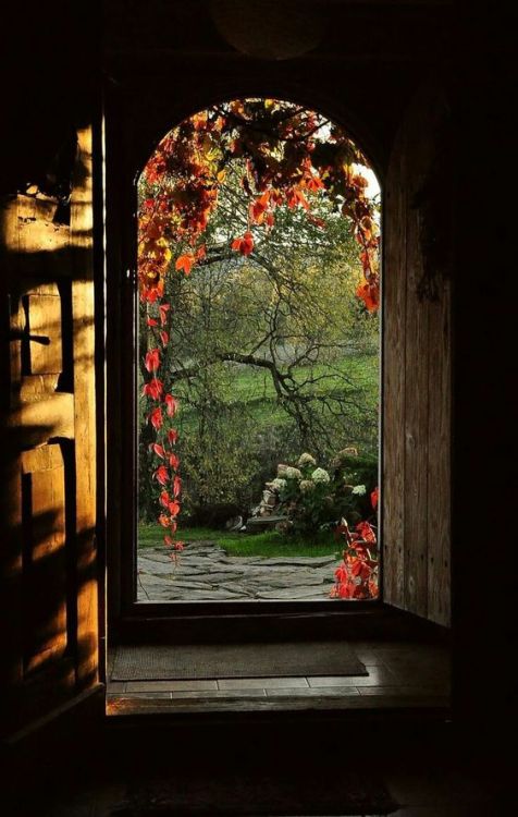 thepaintedchateau:…a true autumn day makes life and nature harmonize…