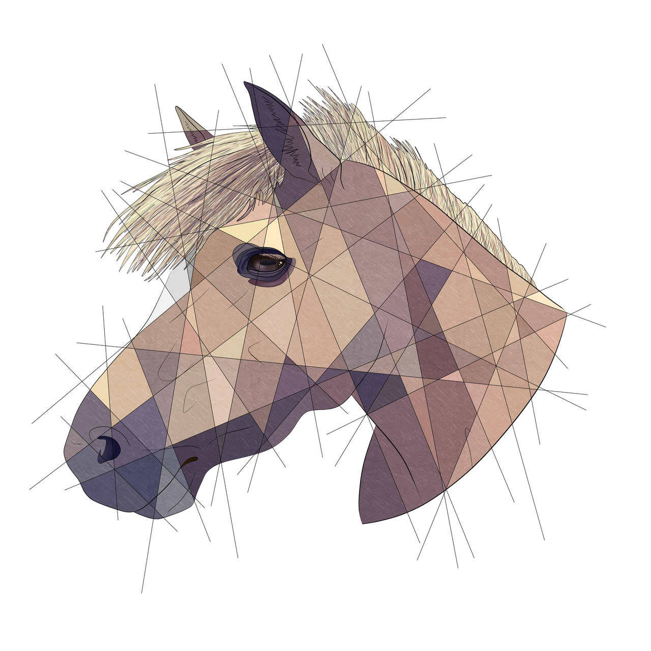 thelizart:  Hey guys so as most of you know I’m doing geometric style commissions