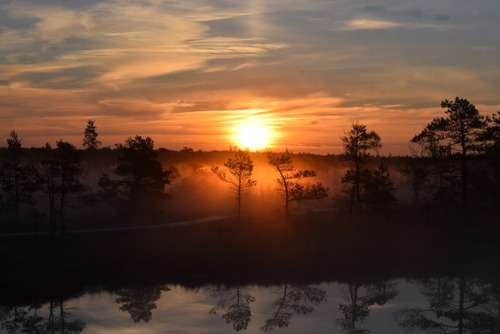 lovabledream:Sunrise in Latvia 