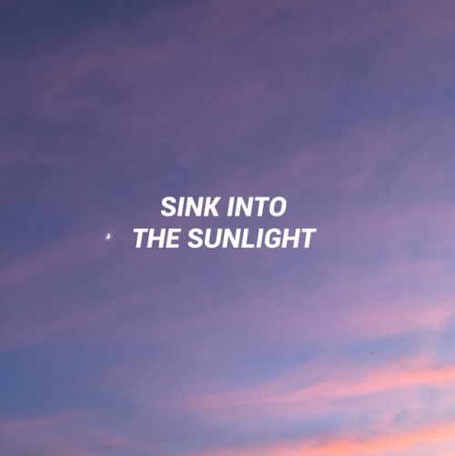 underneaththetide: Daylily // Movements