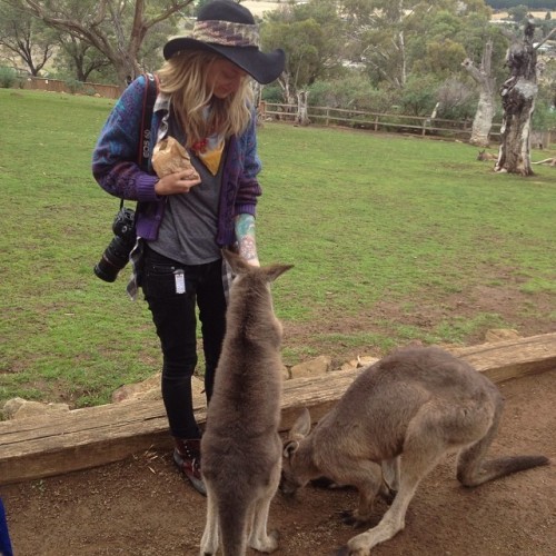 Feeding kangaroos, check that one off the porn pictures
