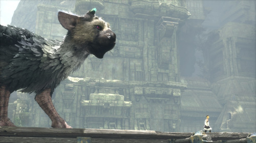 gamefreaksnz:   					The Last Guardian confirmed for PS4, new gameplay footage and screens					The Last Guardian returns to E3 six years on from its stunning announcement trailer.View the new gameplay footage here. 