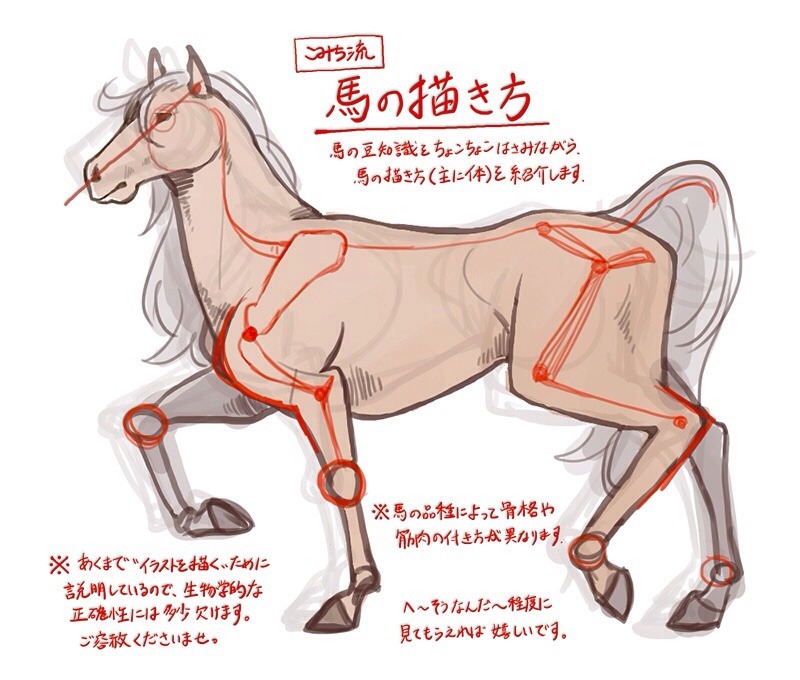 Komiti あとがき 馬は動物の中でも 描くのが難しいモチーフです Art References Komiti あとがき 馬は動物の中でも 描くのが難しいモチーフです Art References