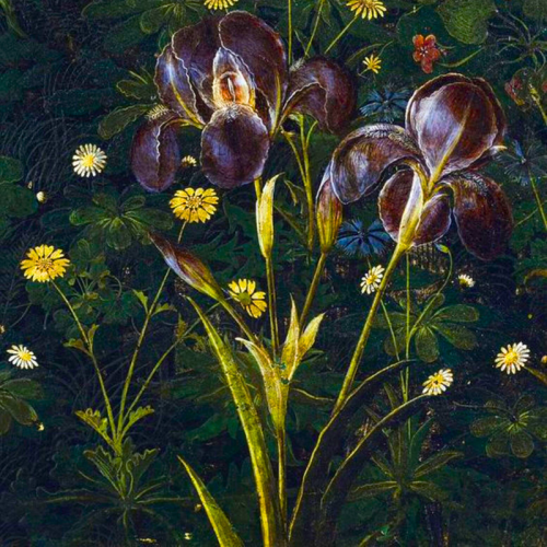 Flowers + Art