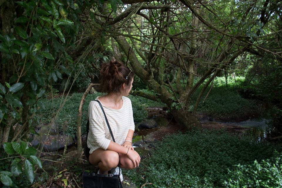 fitten-up:  explorin’