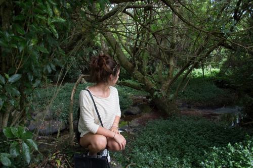 fitten-up:  explorin’
