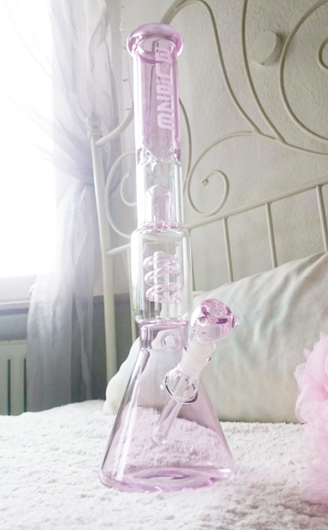 kittenprincesspolly:my new baby