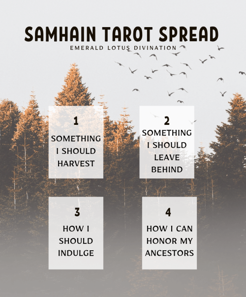 cottageshadowwitch: emeraldlotusdivination: A simple 4 card tarot spread to help you get in the spir