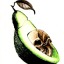 guacamole-con-avocado