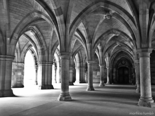 mortisia:University of Glasgow, Scotland.Personal photography © mortisia (2014)