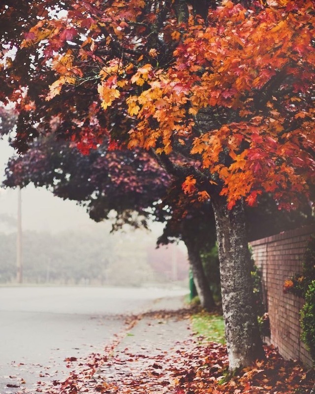 #AutumnFall on Tumblr