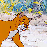 rogeradcliffe:  endless list of animated husbands → Thomas O’Malley (The Aristocats)