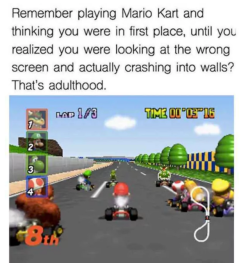 thosevideogamemoments:Adulthood