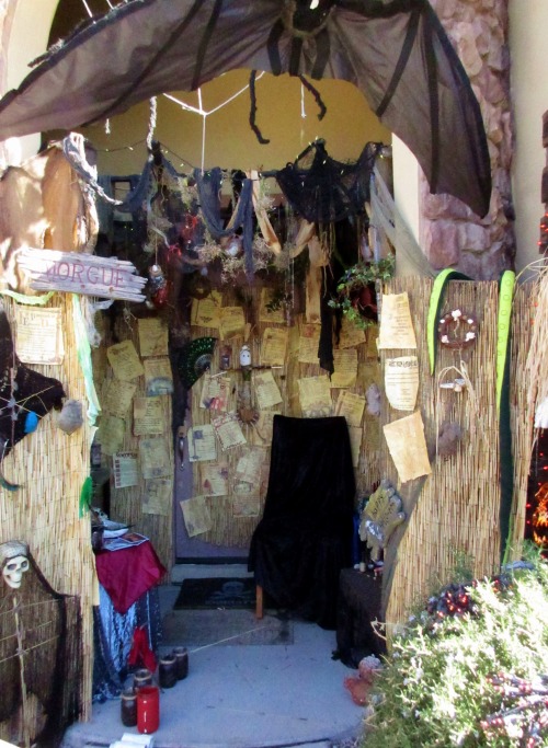 Some pics inside the swamp witch shack/front door area, where I sat to hand out the candy :)