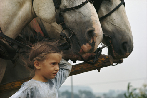 A young Amish girl holds the reins of two huge draft horses. Lancaster County, Pennsylvania.&nb