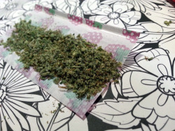 thatswhatmaryjanesaid:  smoketogethighcustheworldissolow:Rolled