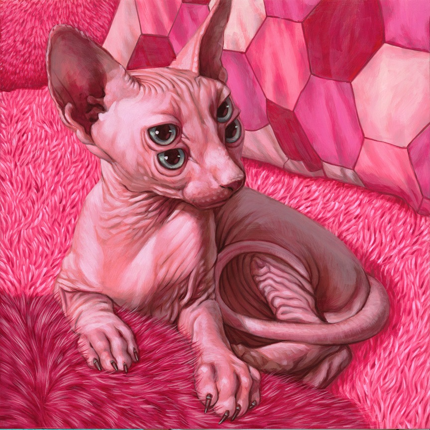 victoriousvocabulary:  FELINE [adjective] 1. belonging or pertaining to the cat