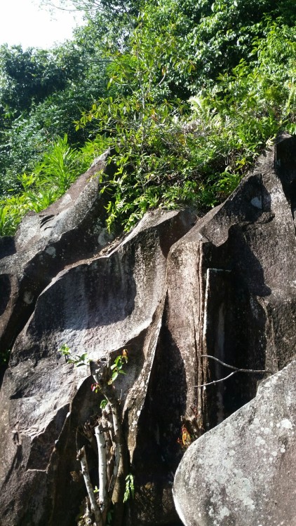 anubls:paradise is a place that i call home // Seychelles, 2015 (part 1)