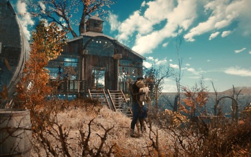 ~ Spectacle Island Tree House part ITheir hideout and love nest Part II here