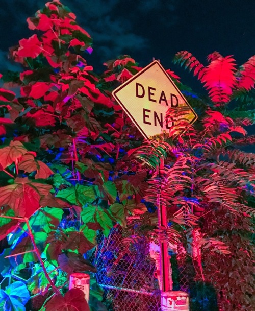 sleazeburger:Lush Apocalypse