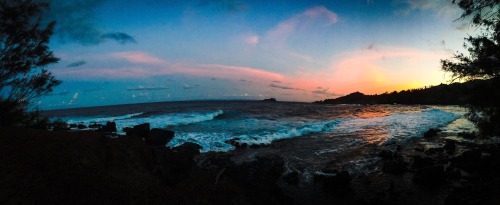 the-homie-sexual:Sleeping here felt like a fairy tale. 