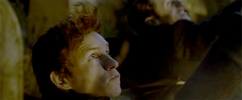 newtscamand-r:   ‘Fantastic Beasts: The Crimes Of Grindelwald’ (2018), dir. David