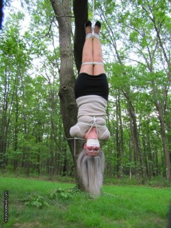 sasuitchi:  Sandra suspended upside-down - Imgur 