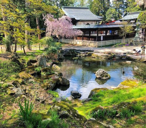 ＼おにわさん更新情報／ ‪[ 山形県米沢市 ] 上杉神社庭園（米沢城跡） Uesugi-Jinja Shrine Garden, Yonezawa, Yamagata の写真・記事を更新しました。 ー