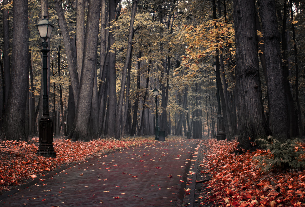 autumn-spice-latte:   autumn/halloween blog  