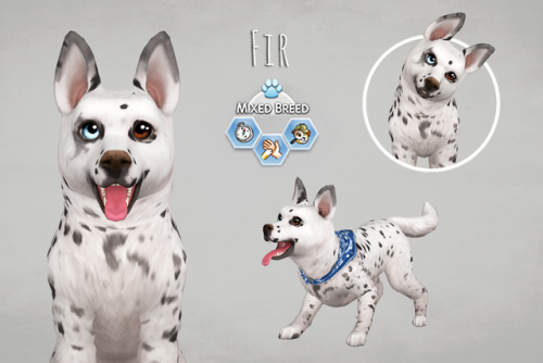 Adopt a doggo! /Sim Download Finally got around to... - Saurus