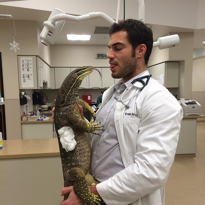 milliondollarkissesx:  emperorcaligulove:  boredpanda:    http://www.boredpanda.com/hottest-vet-pet-doctor-evan-antin-california/