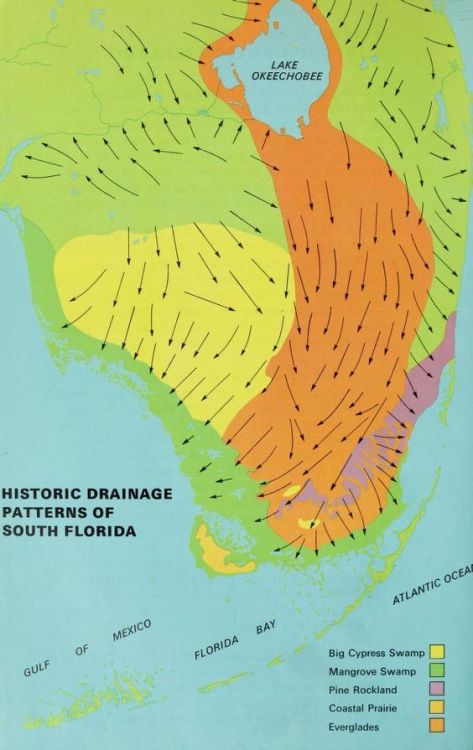 nemfrog:“Historic drainage patterns of South Florida.” Everglades Wildguide. 1972.&