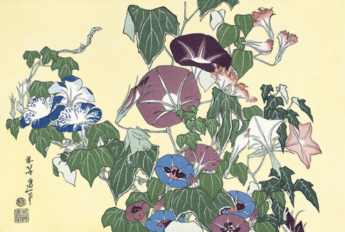 trulyvincent:Katsushika HokusaiMorning Glories and Tree-frog 183426.4×37.2 cm • Engraving, Wood