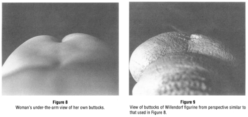 gowns:  evidence that ancient paleolithic venus statues were made by women who were examining their own bodies and sculpting them from their own point of view, not, as previously assumed, exaggerated features from an outside perspective source: toward