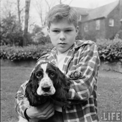 Boy and dog eye photographer(Alfred Eisenstaedt. 1951)