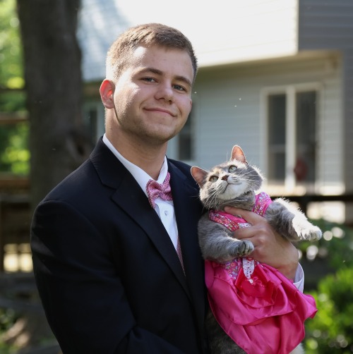 tastefullyoffensive: Prom goals. A friend and I were talking about cats in dresses.