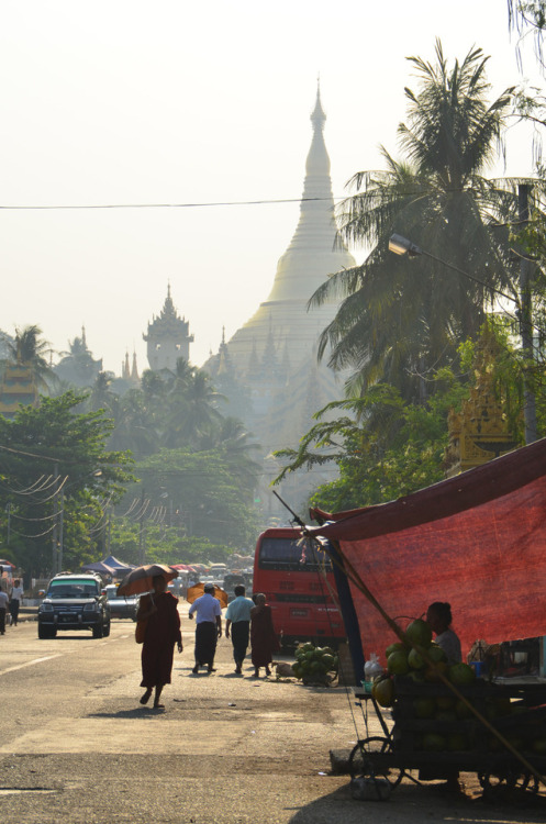 #burma #birmanie #myanmar #yangoon #stupa #monk #bouddhism #bouddhist #asie #asia #southeastasia #tr