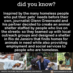 did-you-kno: Inspired by the many homeless people  who put their pets’ needs before their  own, journalist Glenn Greenwald and  his partner decided to create an animal  shelter staffed by people who live on  the streets- so they teamed up with local